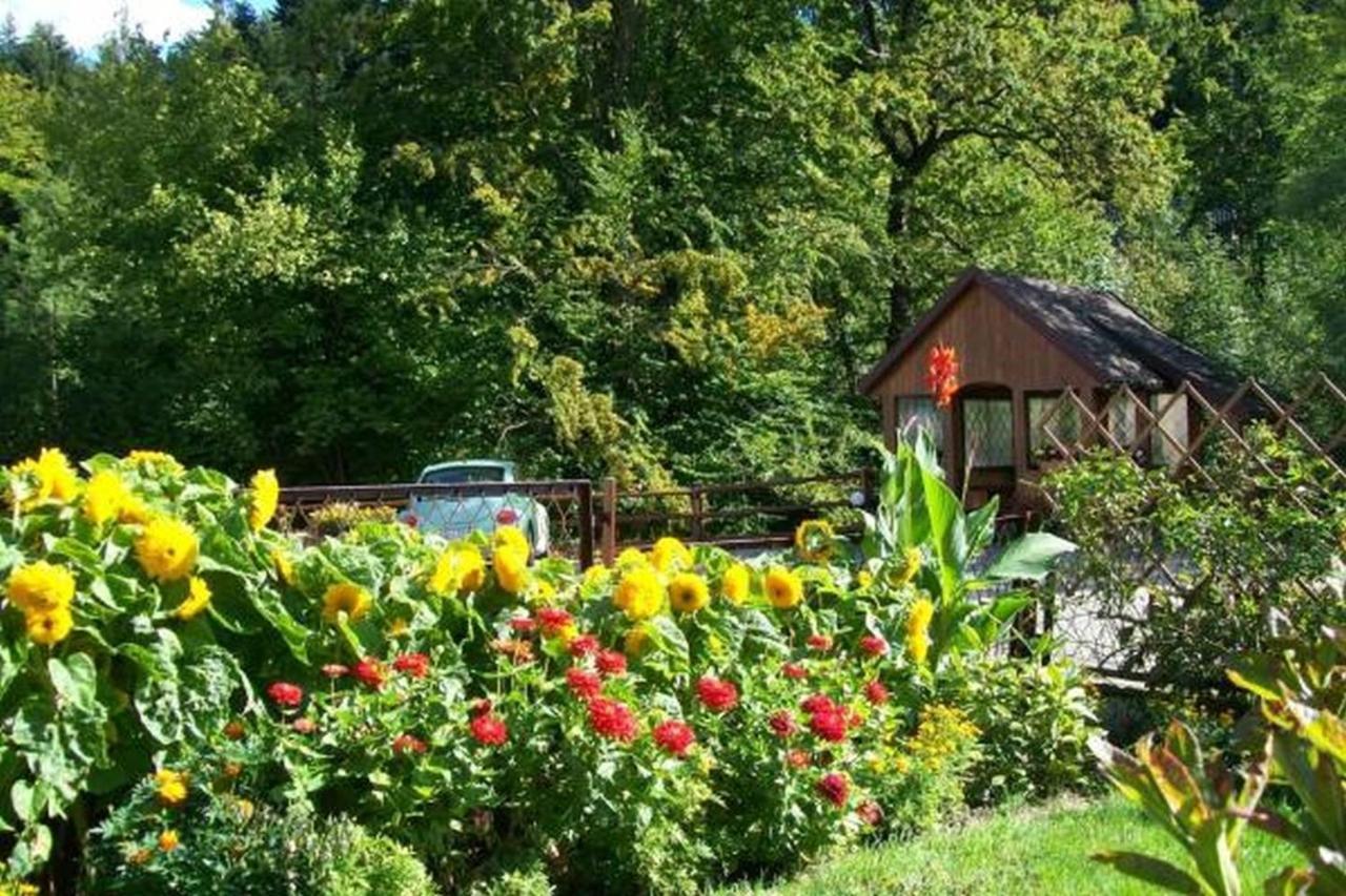 Apartament I Pokoje Goscinne U Lusi Wisła Exteriör bild